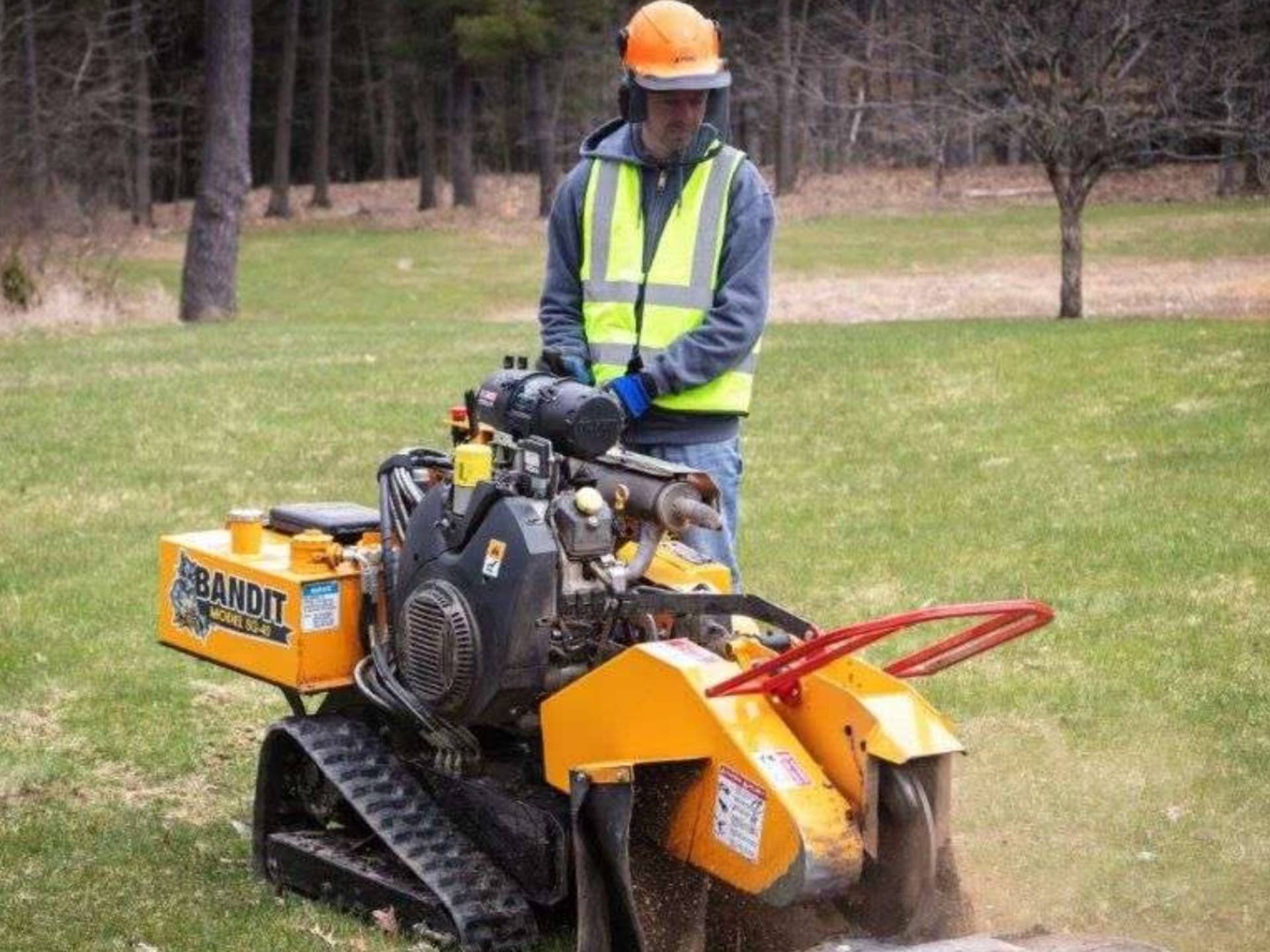 Stump grinding 2 (2)